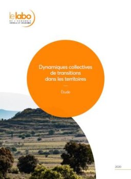 Dynamiques collectives de transitions dans les territoires