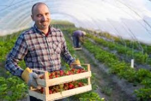 Le travail au service de l'émancipation