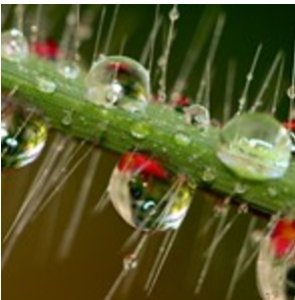 Reconsidérer la richesse